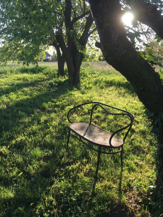 Bed & Breakfast Il Mio Gelso Villanova d'Asti Экстерьер фото