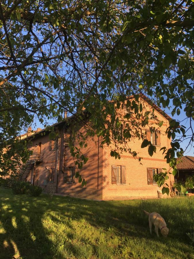 Bed & Breakfast Il Mio Gelso Villanova d'Asti Экстерьер фото