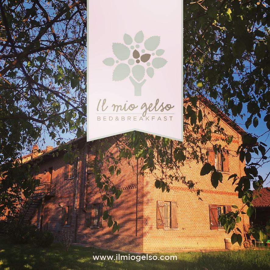 Bed & Breakfast Il Mio Gelso Villanova d'Asti Экстерьер фото