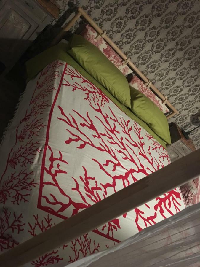 Bed & Breakfast Il Mio Gelso Villanova d'Asti Экстерьер фото